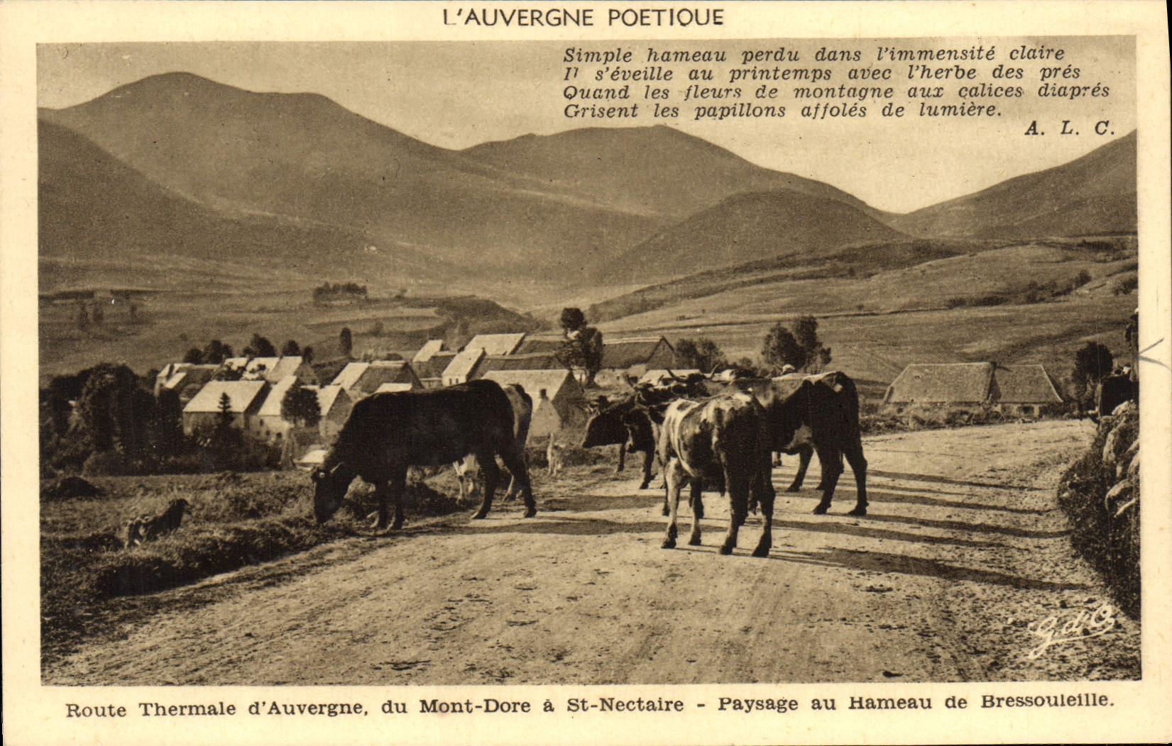 VINTAGE POSTCARD Auvergne Poetique thermal Road of the Mount Gilds has St Nectary Landscape with the hamlet of Bressouleille Vaches