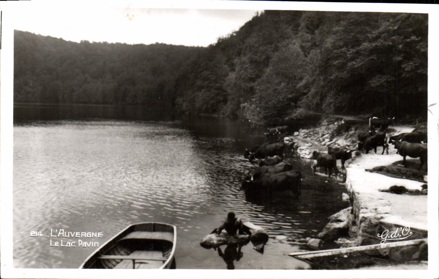 CPA L'Auvergne Le Lac Pavin