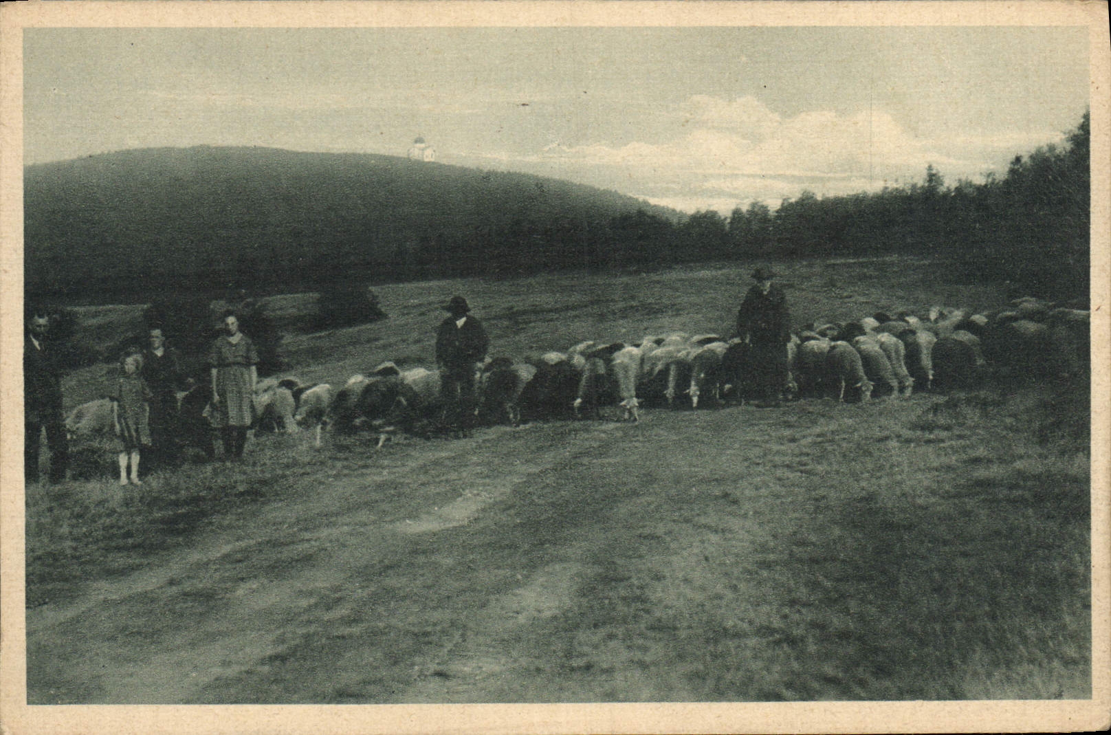CPA Partie na Radhosti Berger Moutons