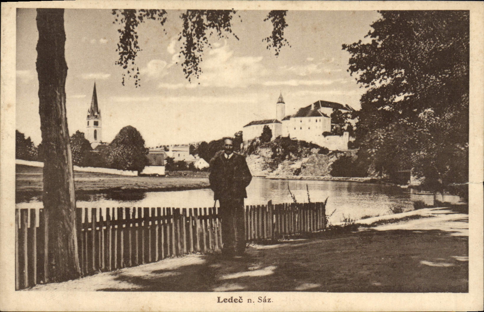 POSTAL Ledec Saz de la VENDIMIA