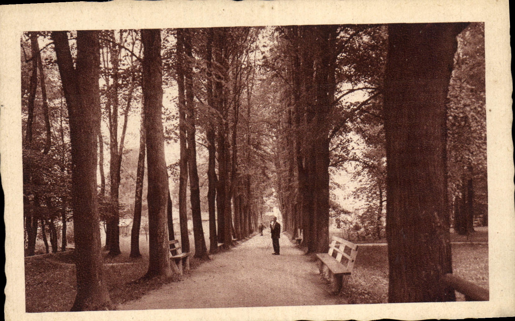 CPA Stubinanske Teplice Hlavna Alea Stunenbad Hauptalee Stubnyafurdo Parksetany L'Allee Prinicipale