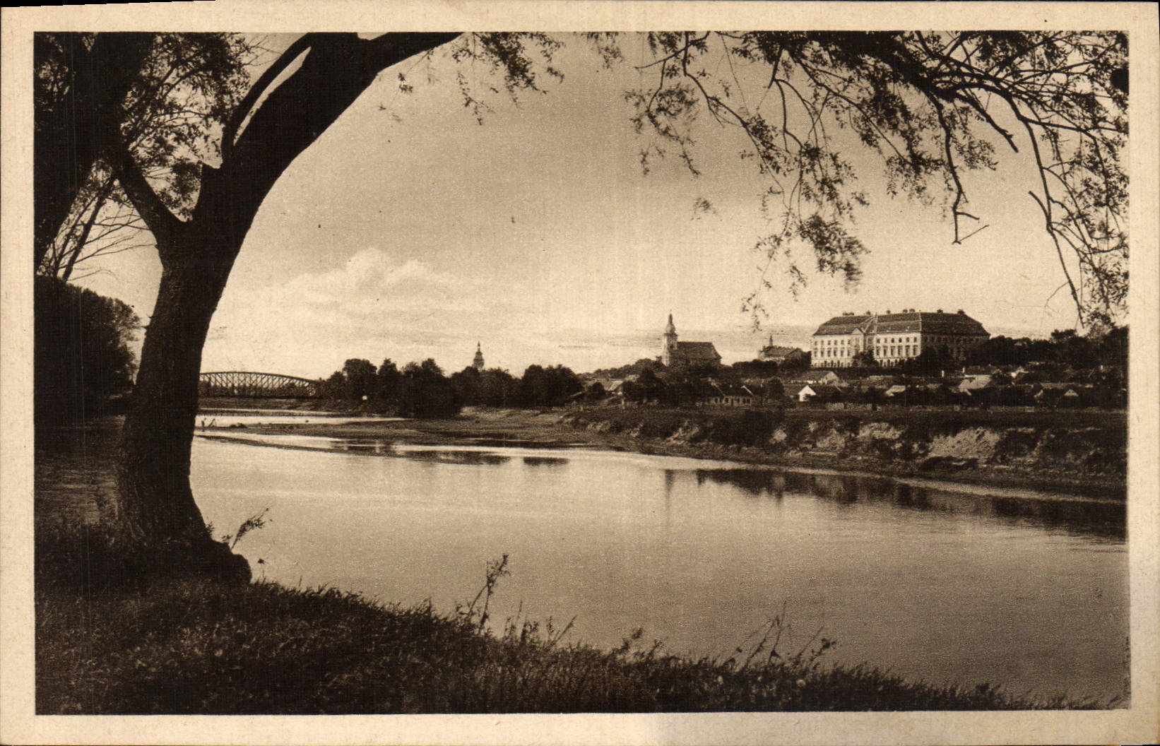 POSTAL Napajedla de la VENDIMIA