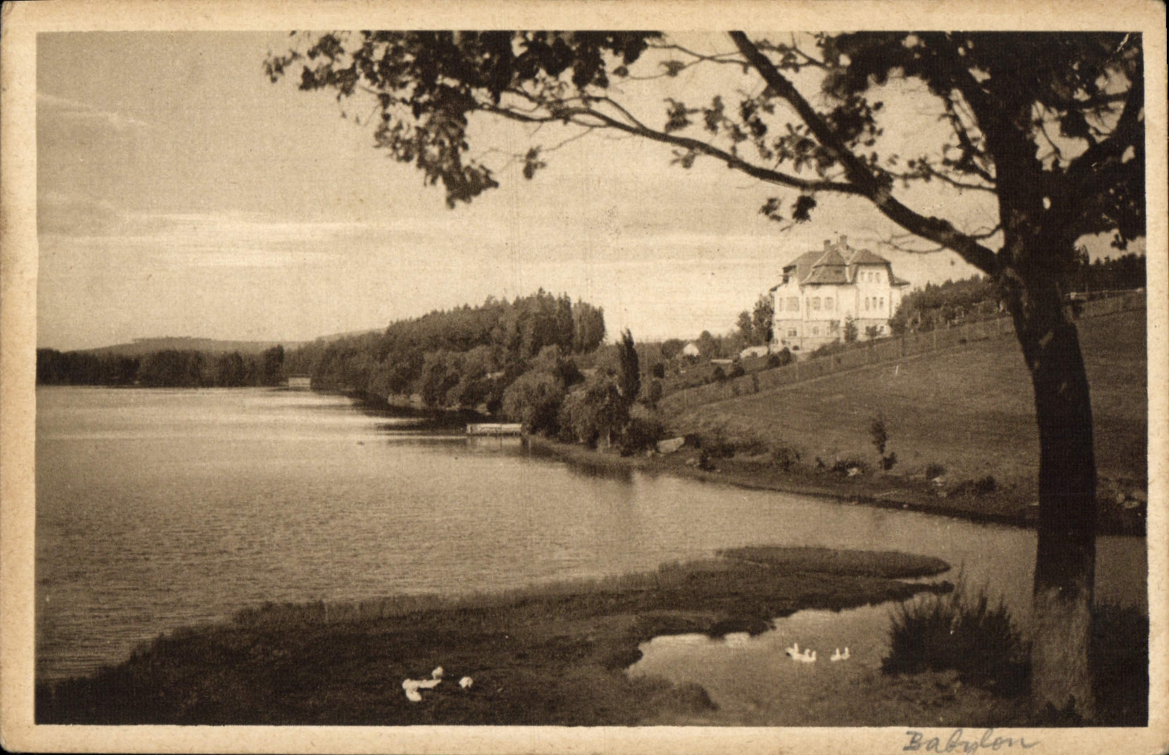 POSTAL Tchequie Babylon de la VENDIMIA