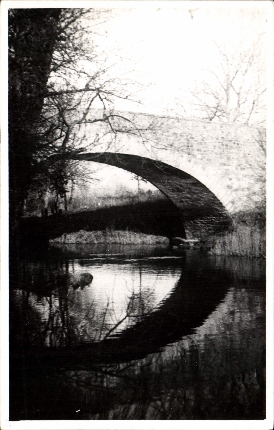 CARTE PHOTO Bord de l'eau