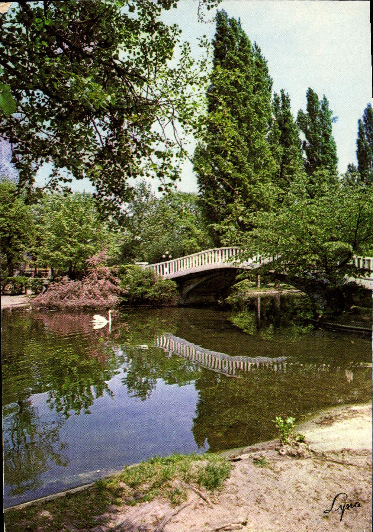 CPM Le Vesinet Les Ibis Cygne