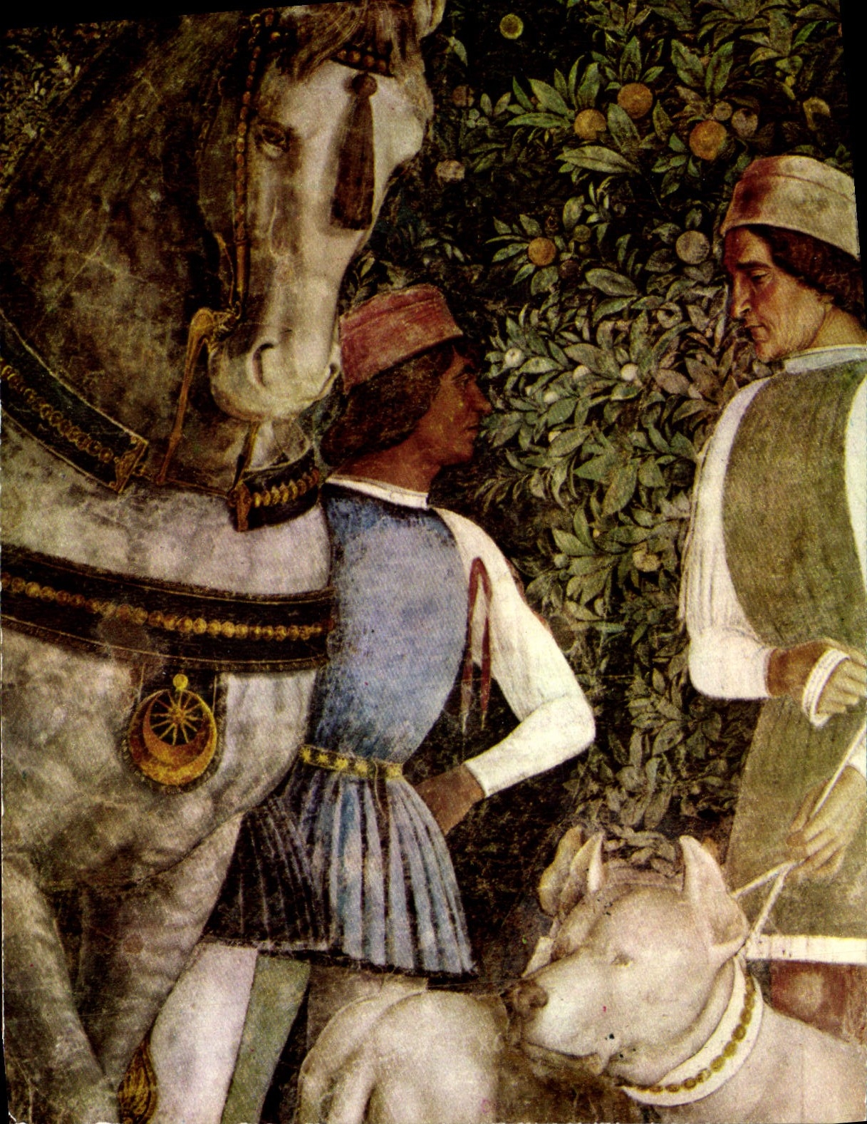 MODERN CARD Mantova Castello S Giorgio Salted Degli Sposi