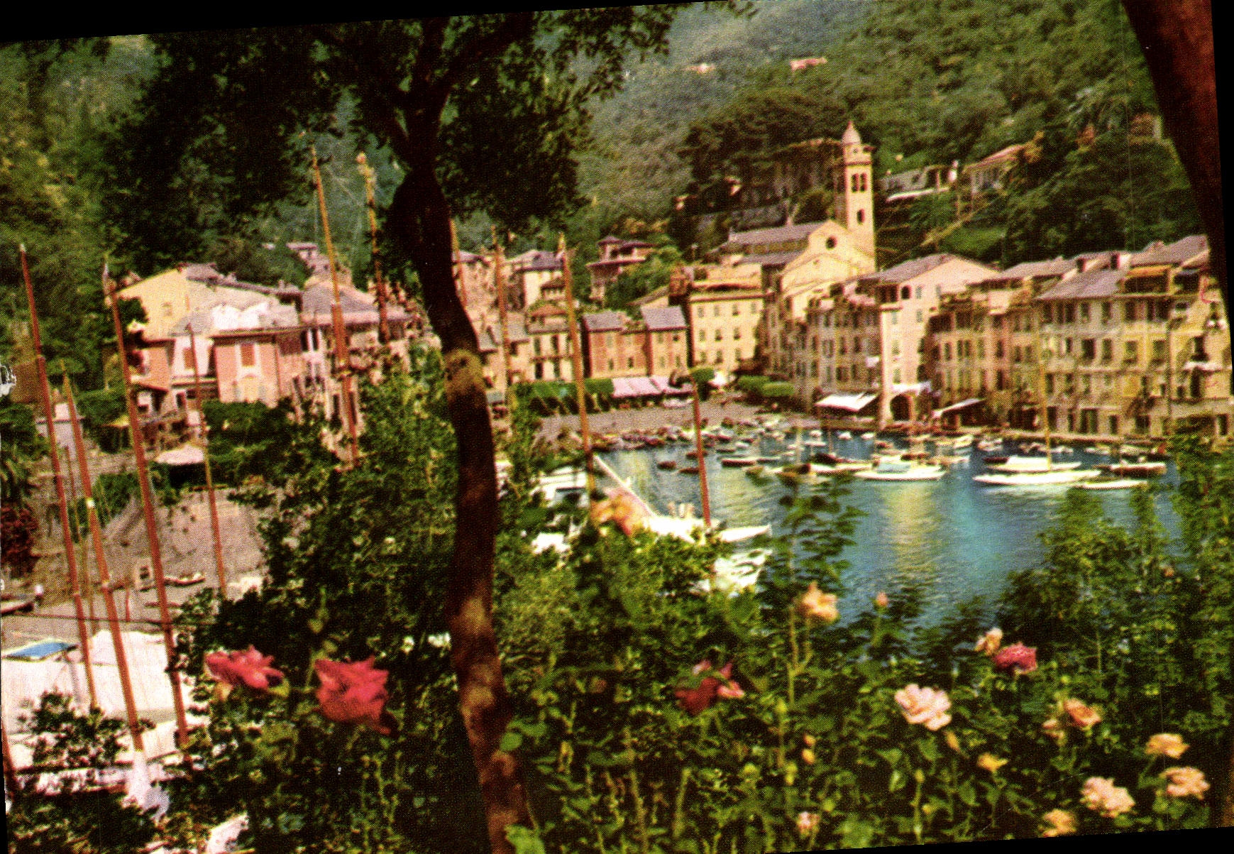 MODERN CARD Luci E Colori d' Italia Golfo Tigullo Portofino