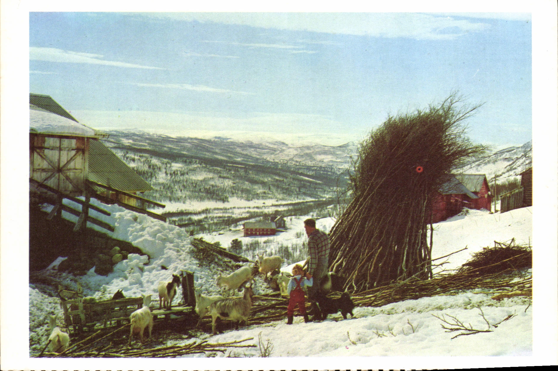 MODERN CARD Norge Patri FRA Hemsedal