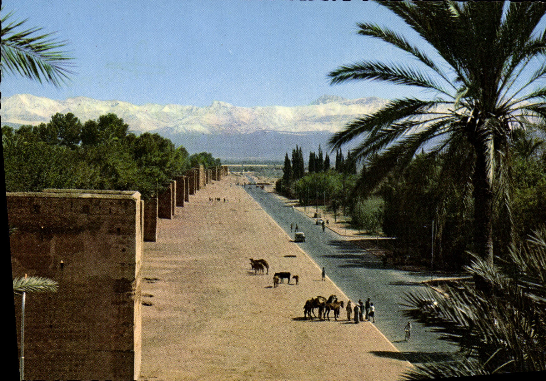 CPM Marrakech Les Remparts Et Le Grand Atlas