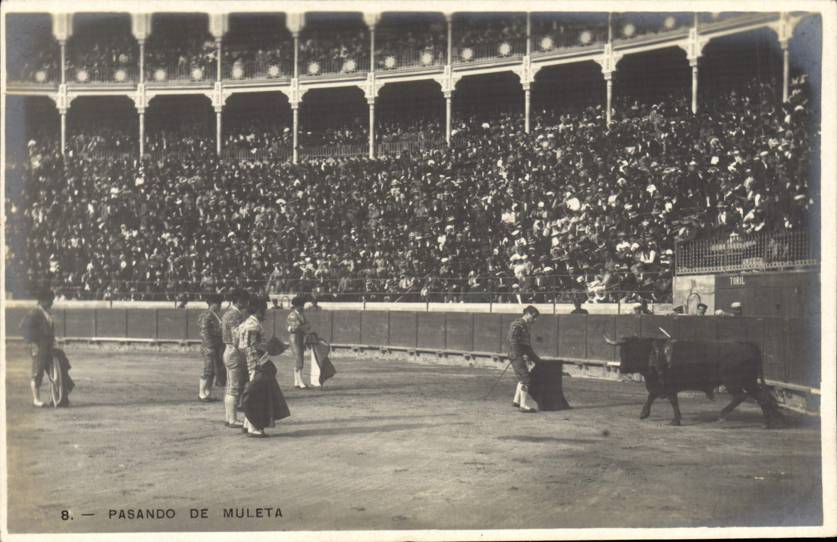 VINTAGE POSTCARD Pasando De Muleta Bullfight Bull
