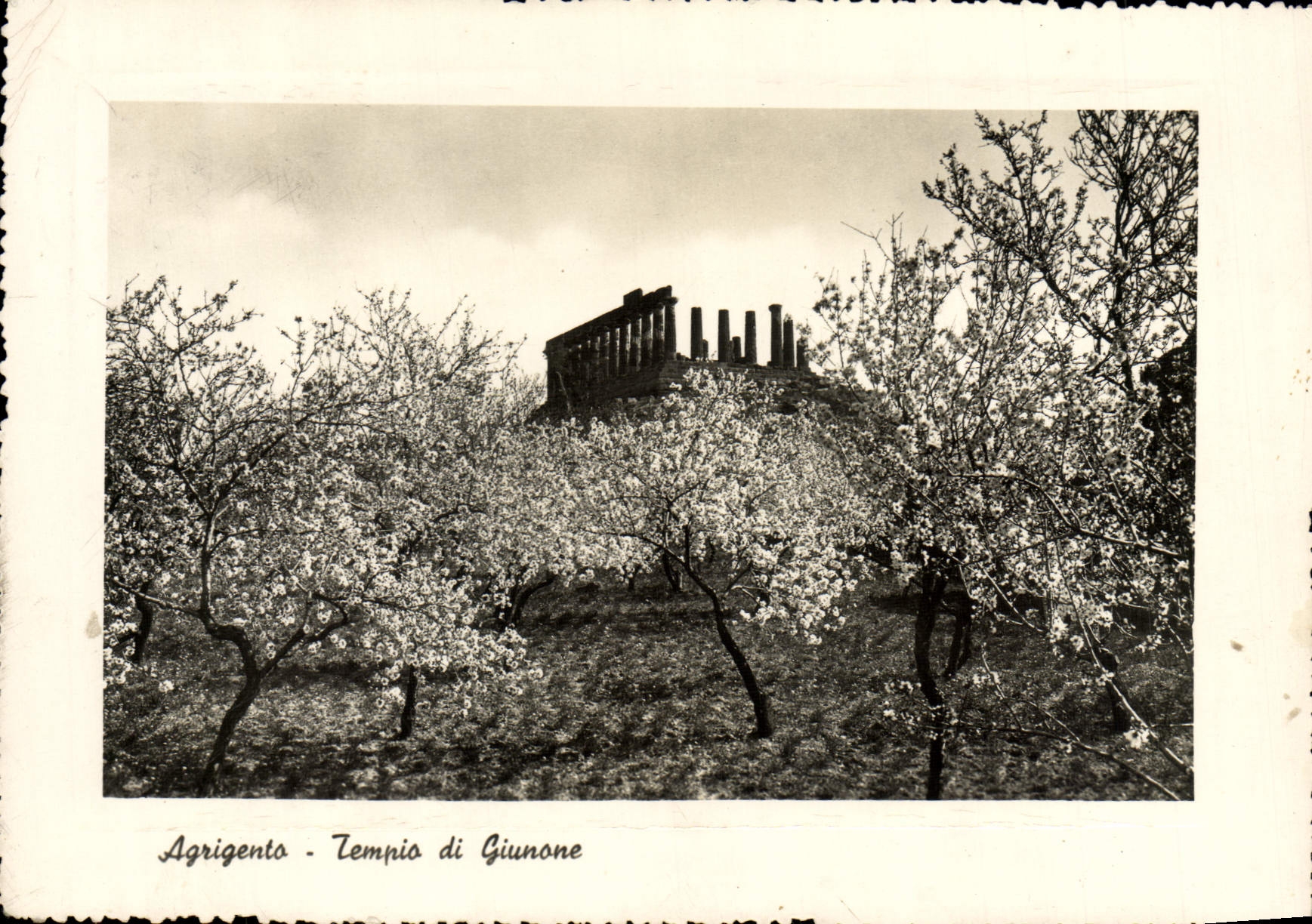 VINTAGE POSTCARD Agrigenta Tempia Di Giunone