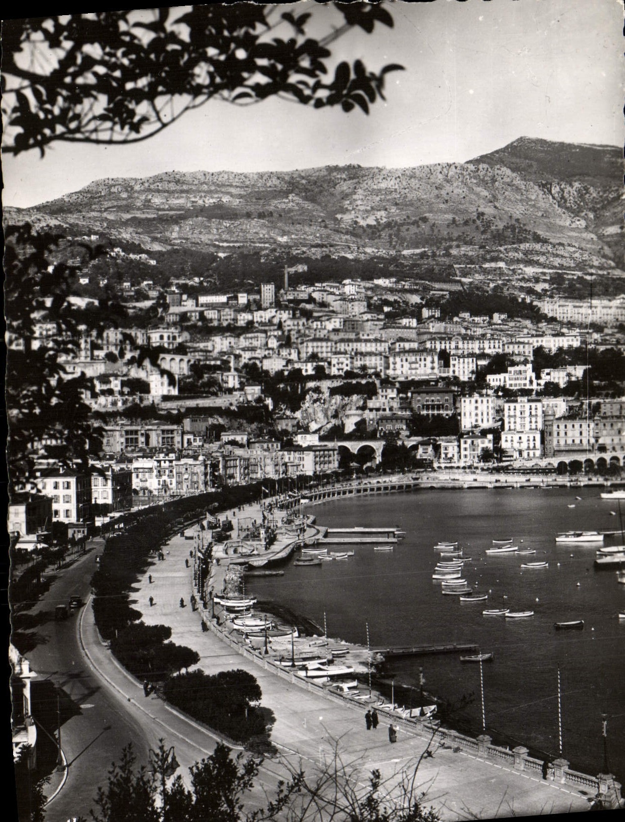 CPM Monaco Le Quai Albert 1er