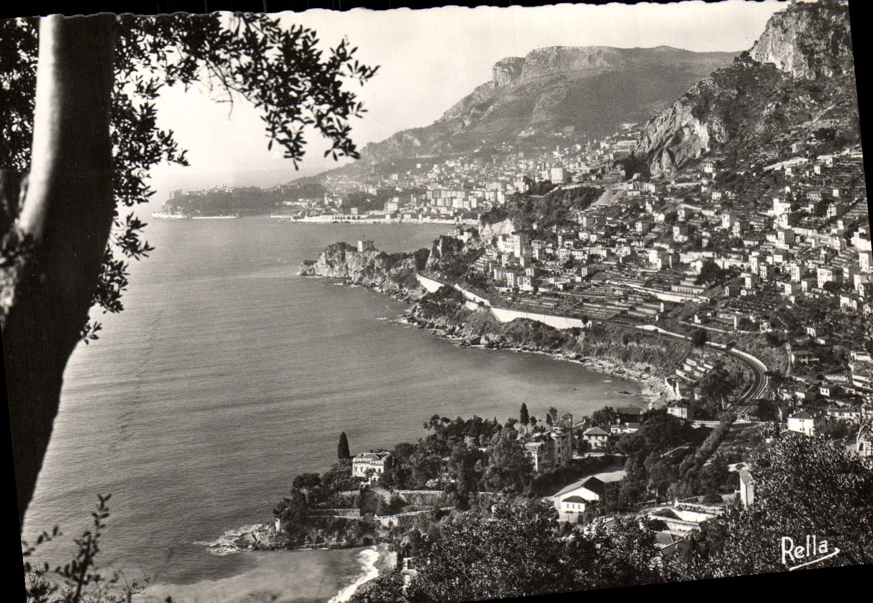 MODERN CARD the Principality of Monaco and the head of Dog seen of Roquebrune
