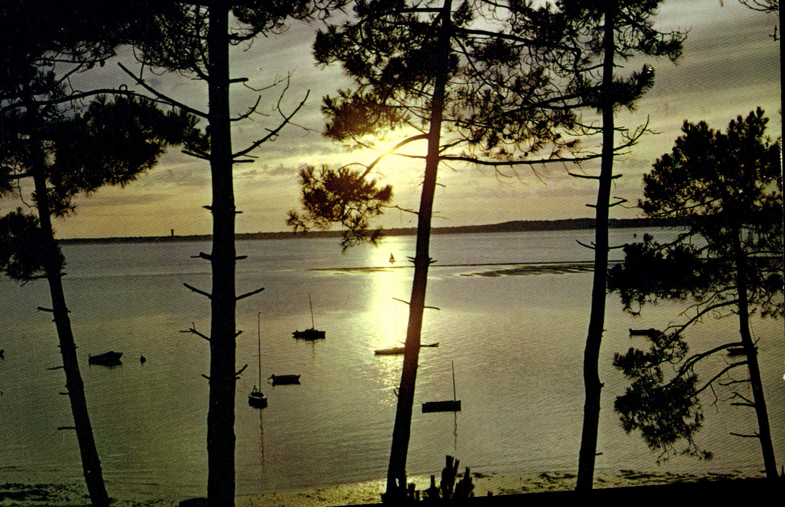 MODERN CARD the oceon resplendit under its vast cloud the wave