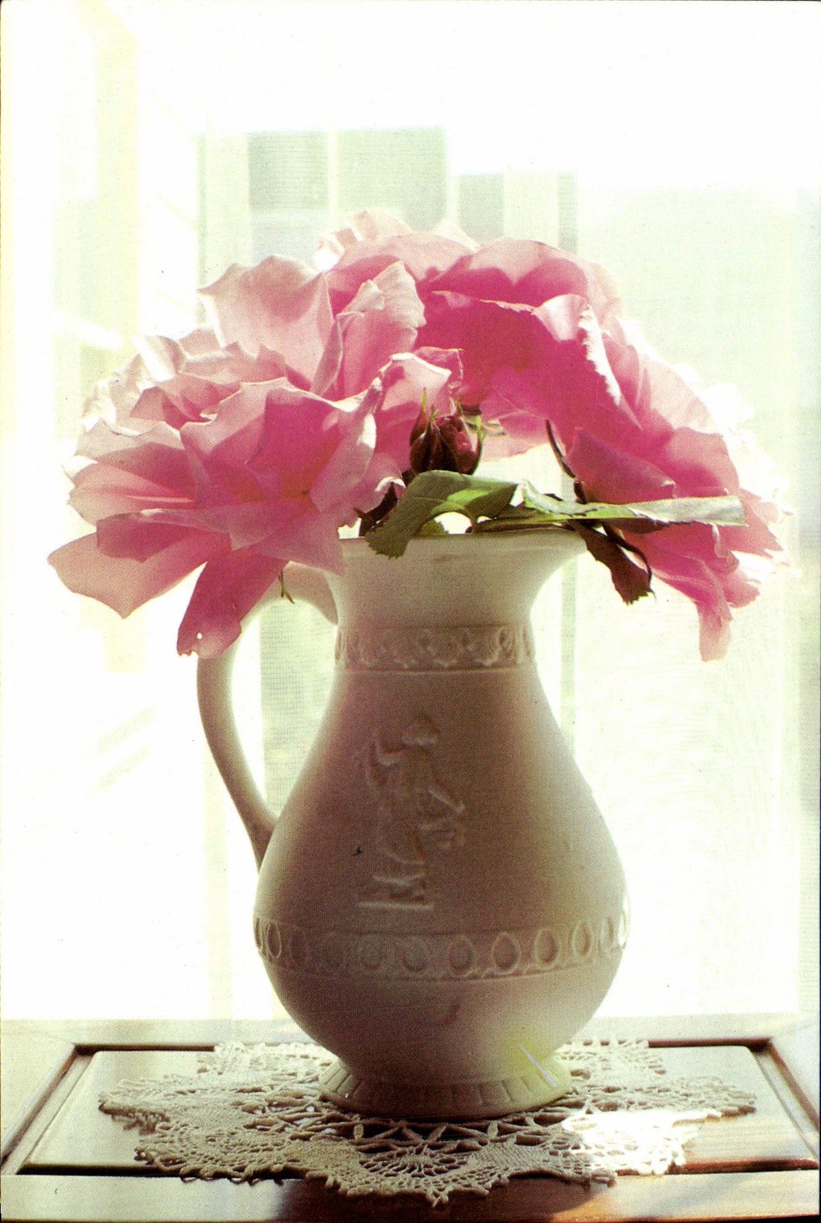 CPM Betsy O'Hara Sunlit roses 