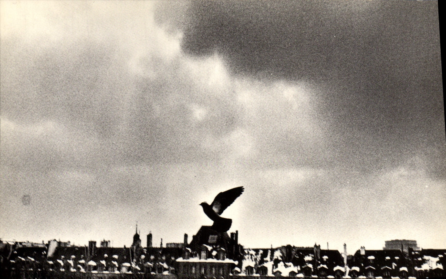 MODERN CARD Paris Venezia Places from the Vosges Pigeon