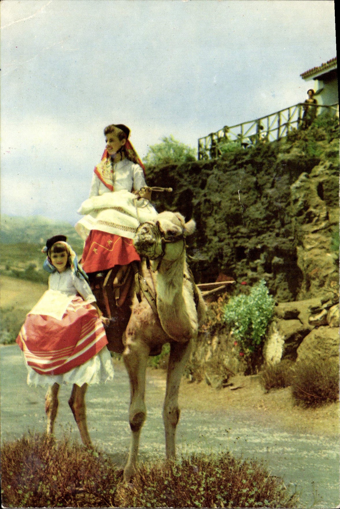 MODERN CARD Tafira Gran canaria Watchtower of Bandama Camel Folklore