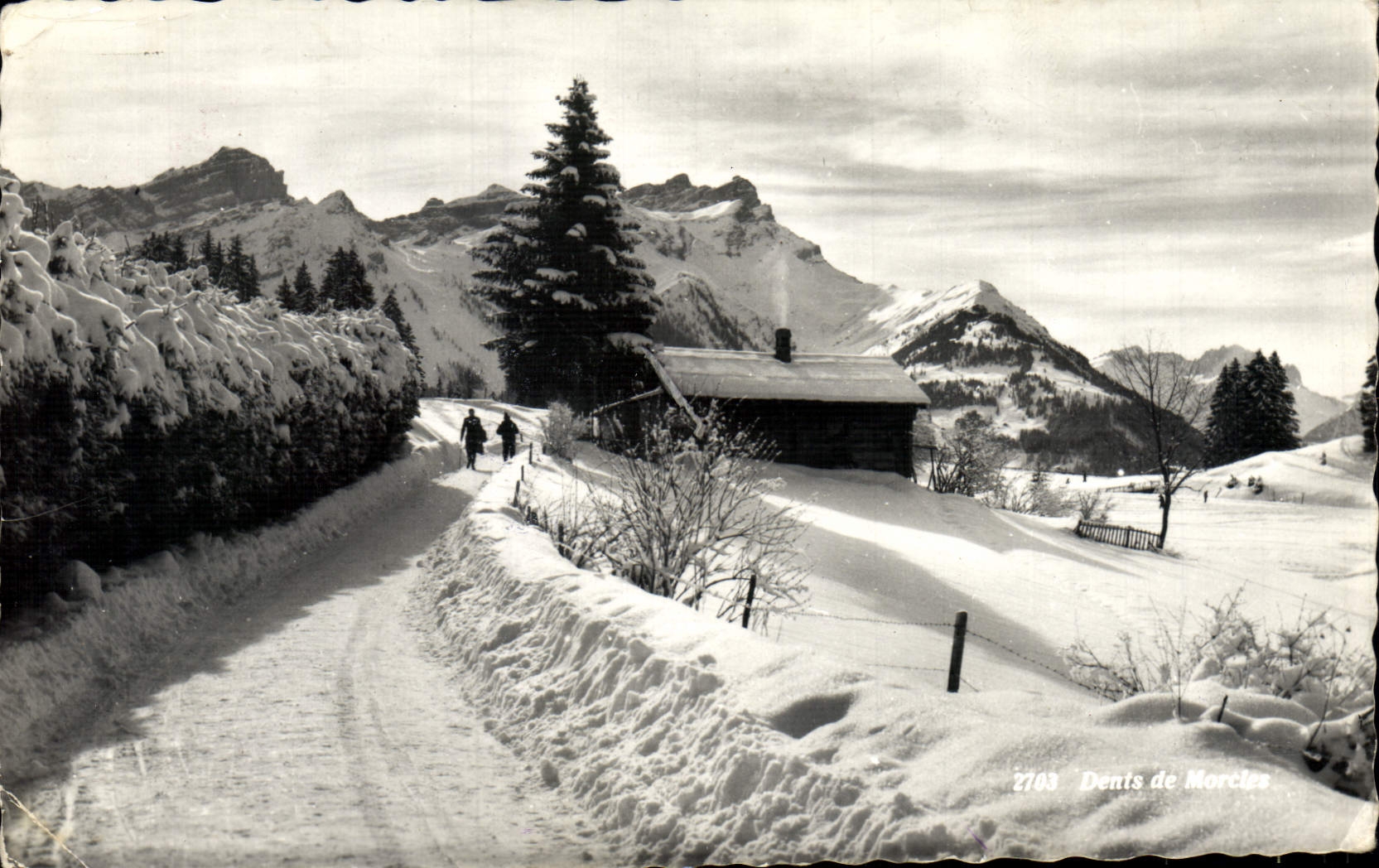 CPM Dents de Morcle