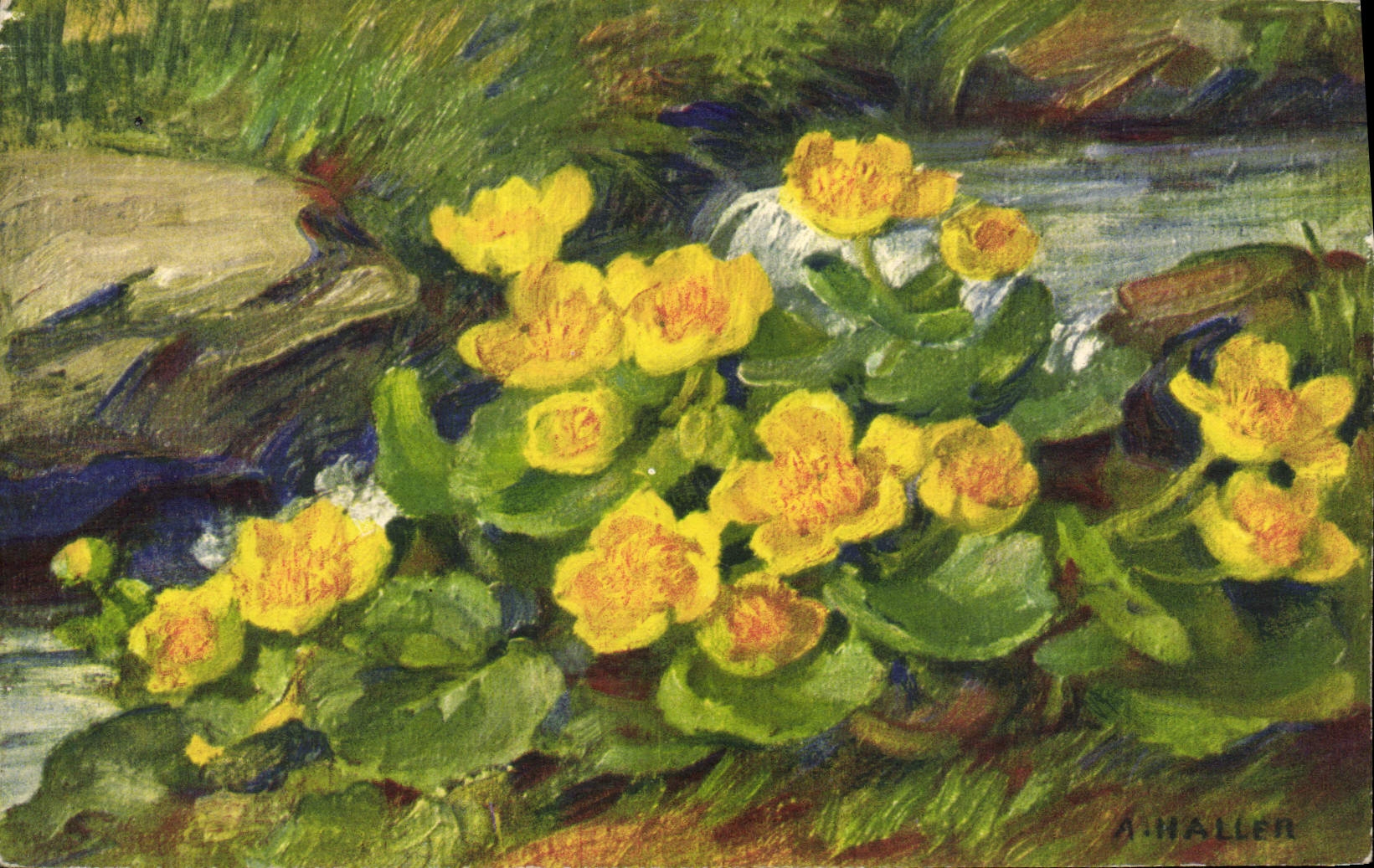 CPA Fantaisie Fleurs Nenuphars Haller