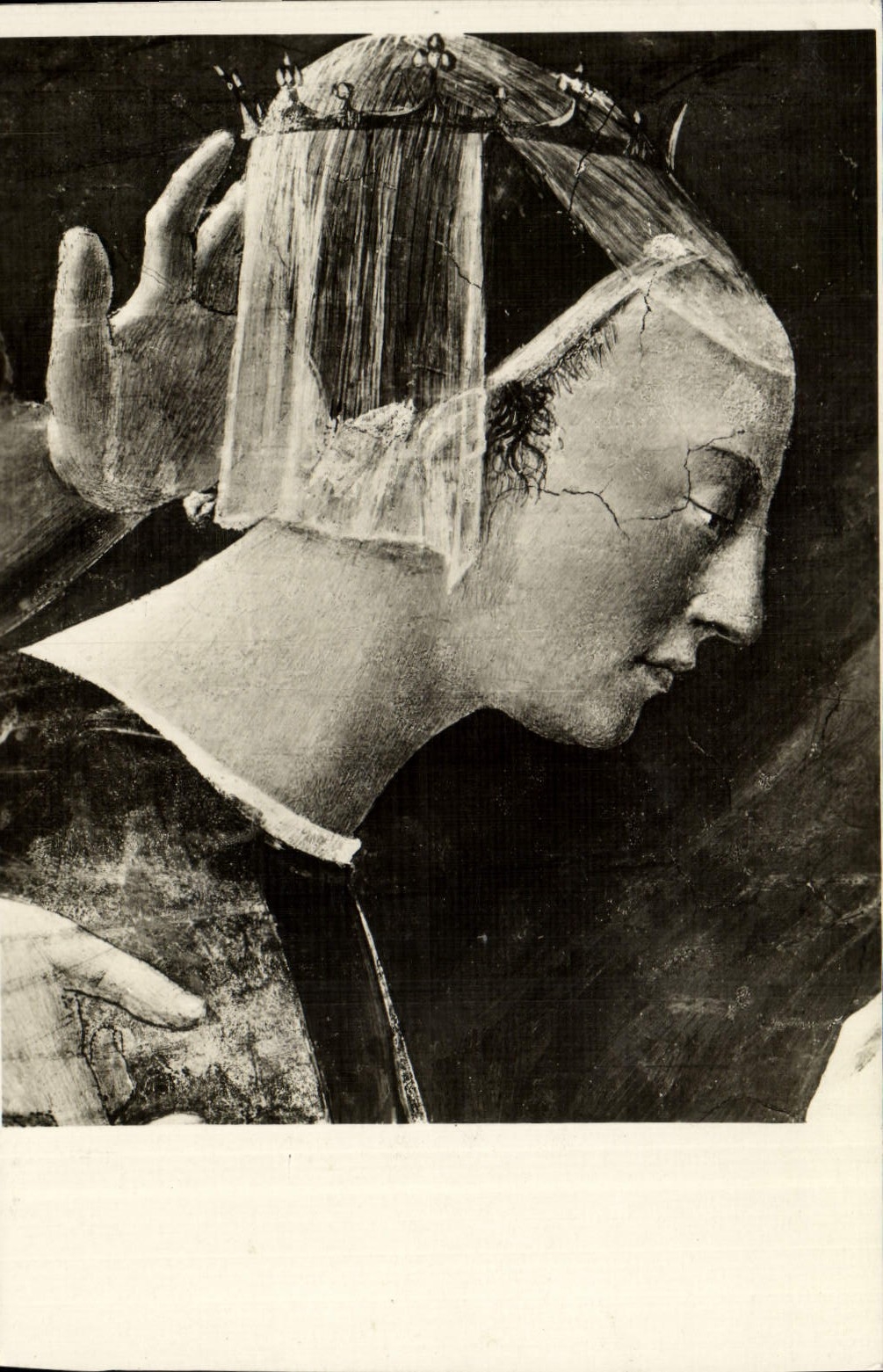 CPA Arezzo Chiesa di S Francesco La REgina Saba 