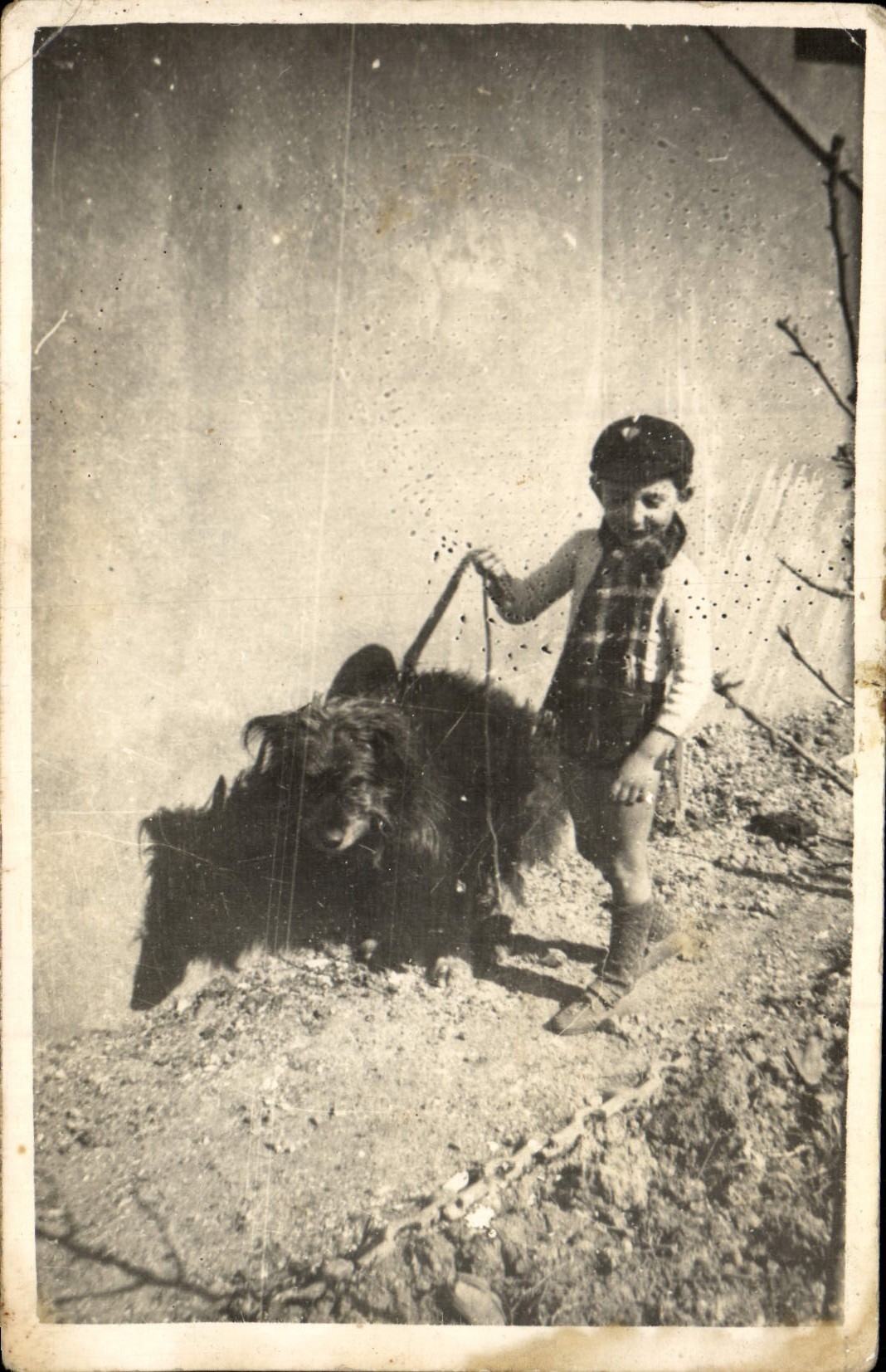 Real photo Child and his dog