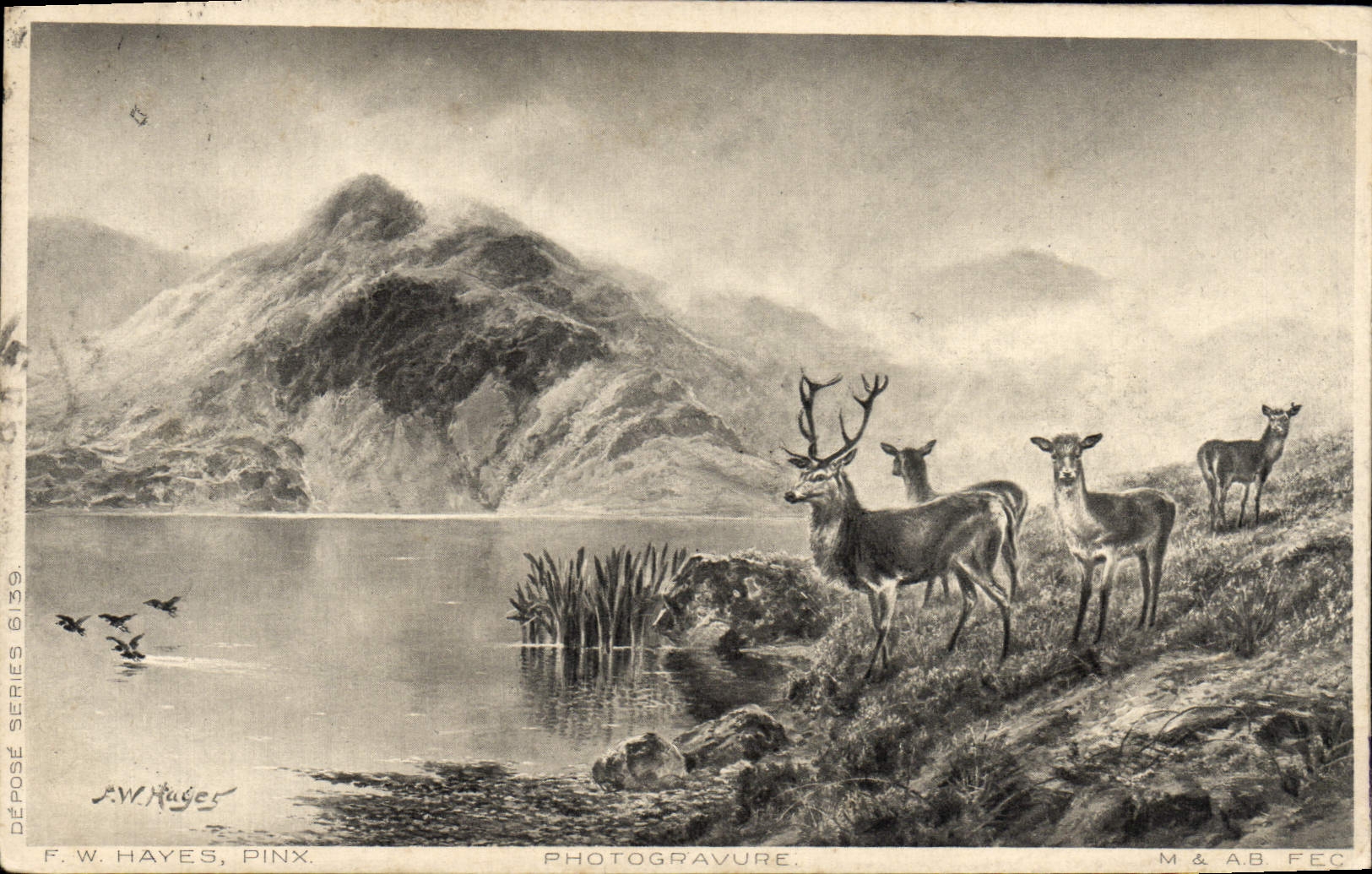 VINTAGE POSTCARD Beam Stag