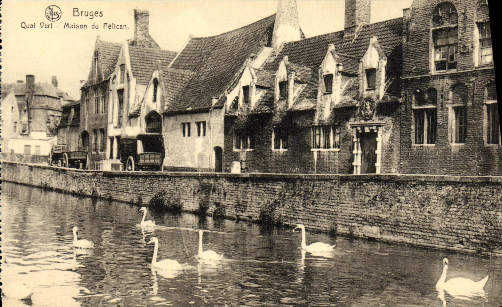 Casa verde de Brujas Quay de la POSTAL de la VENDIMIA del pelícano