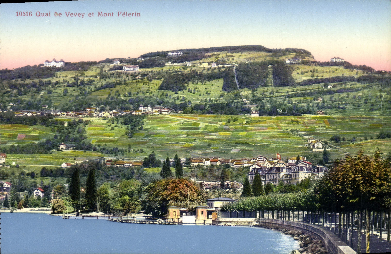 VINTAGE POSTCARD Quay De Vevey And Mont Pilgrim