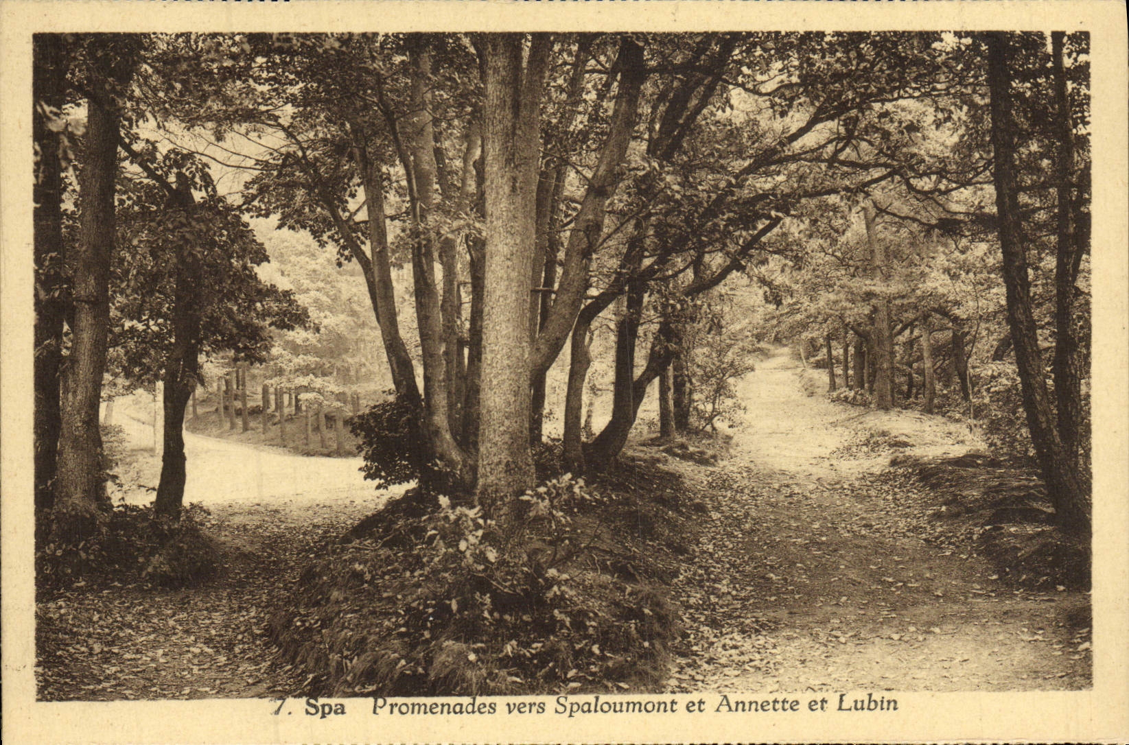 VINTAGE POSTCARD Spa Walks Towards Spaloumont And Annette And Lubin