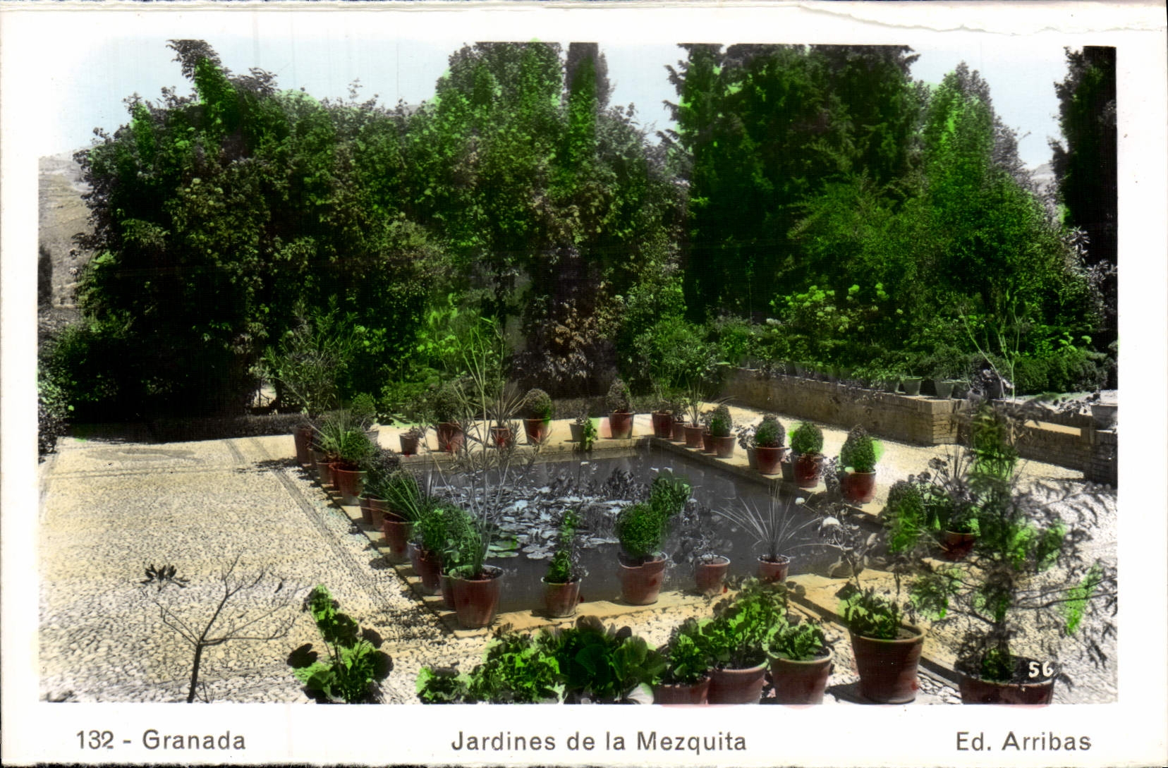 CPA Granada Jardines De La Mezquita