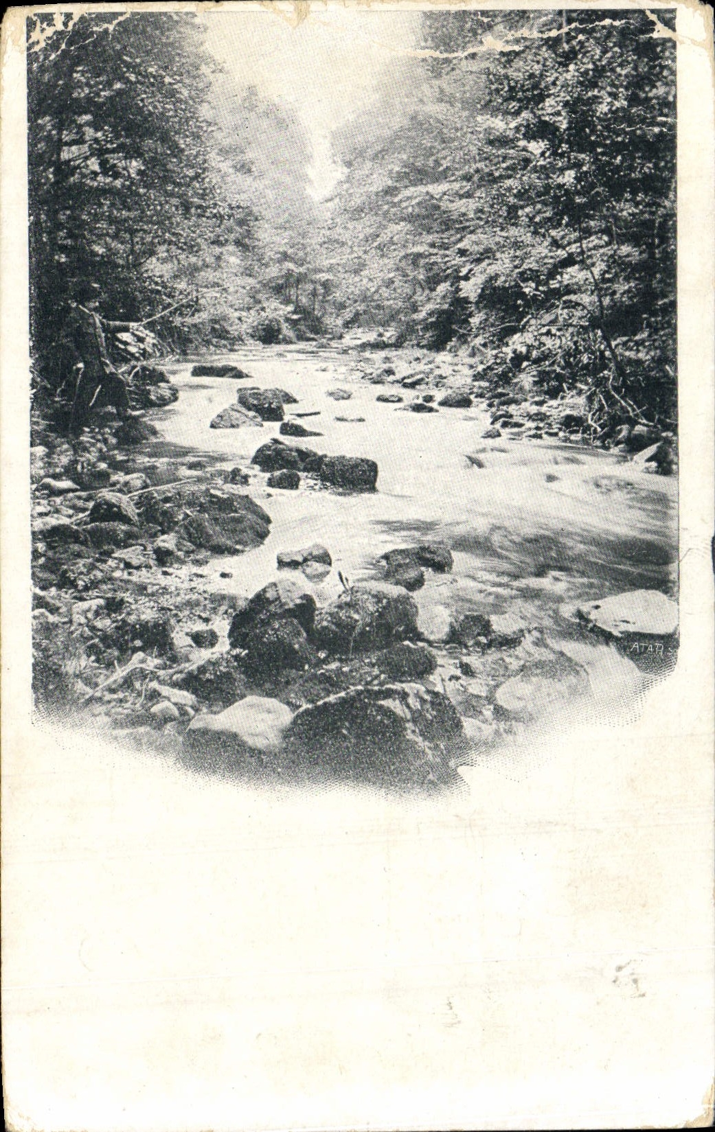 CPA Riviere