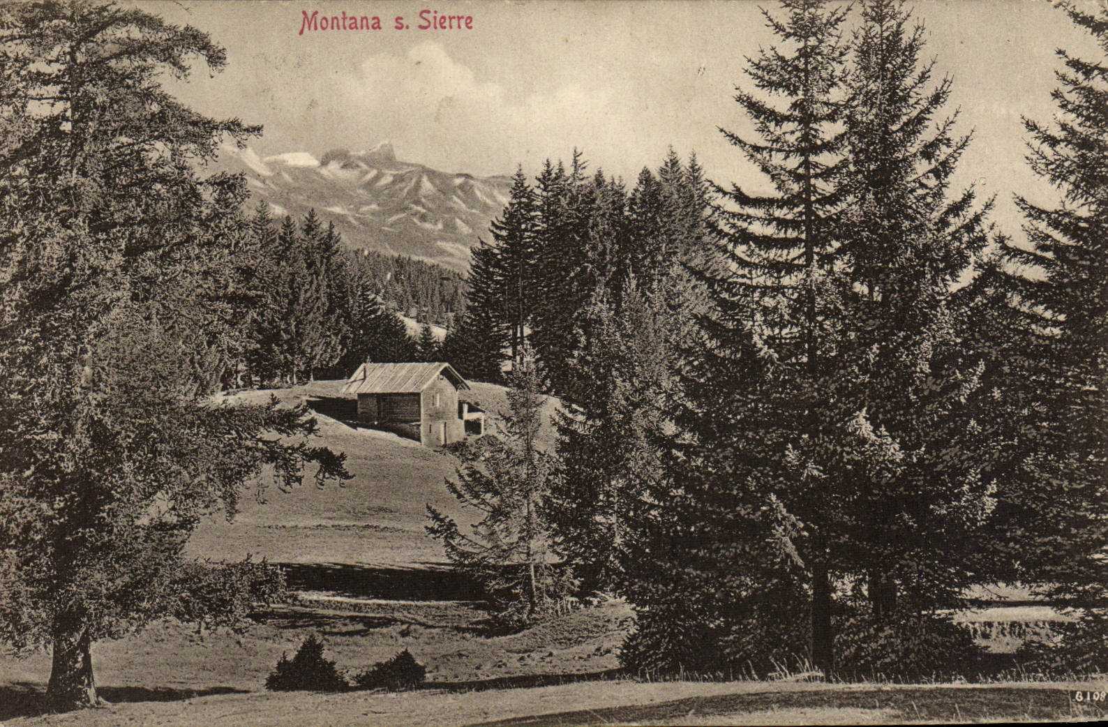 VINTAGE POSTCARD Montana S Sierre