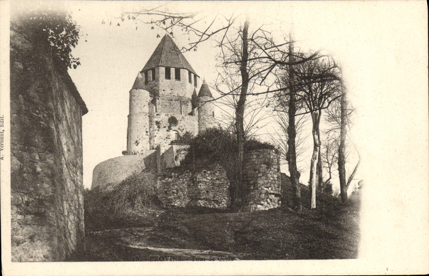 VINTAGE POSTCARD Layered branches