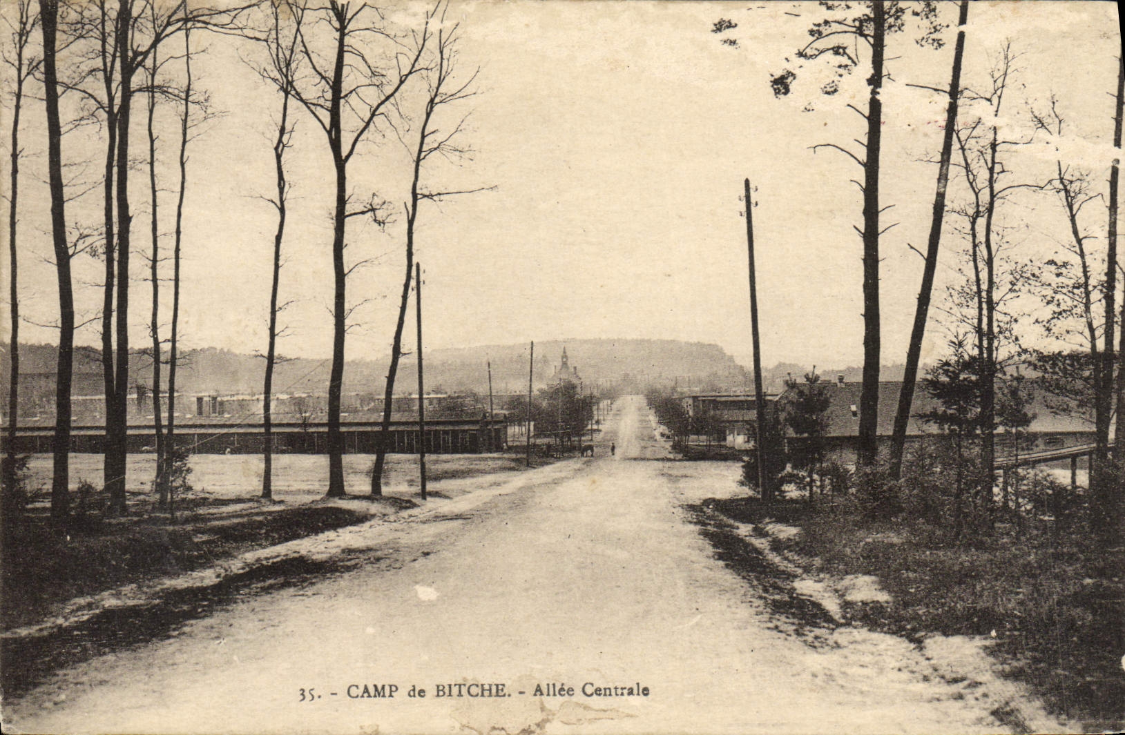CPA Camp De Bitche Allee Centrale Militaria
