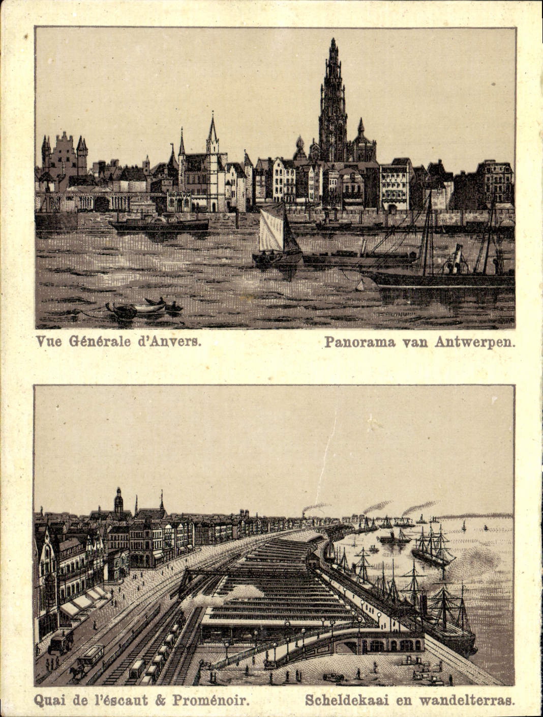 Opinión de la POSTAL de la VENDIMIA del panorama Van Antwerpen de Amberes