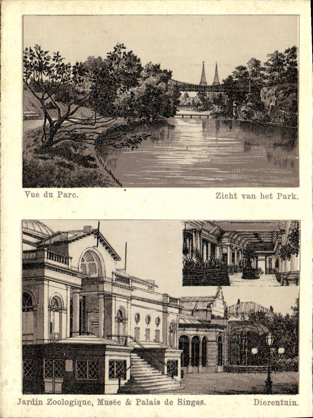 Jardín zoológico visto POSTAL Museum Palate De Singos Dierentnin de Park Zicht Van Het Park de la VENDIMIA