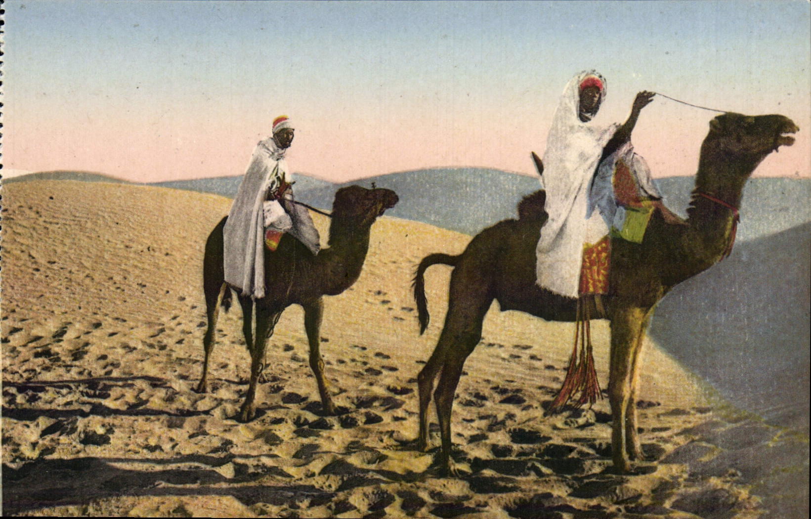 CPA Meharistes Dans Les Dunes Chameaux 