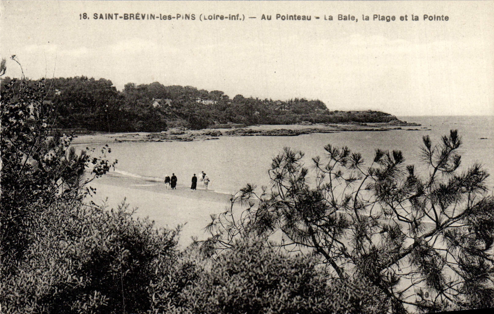 Pinos santos de Brevin de la POSTAL de la VENDIMIA con el sacador Basilea la playa y el punto
