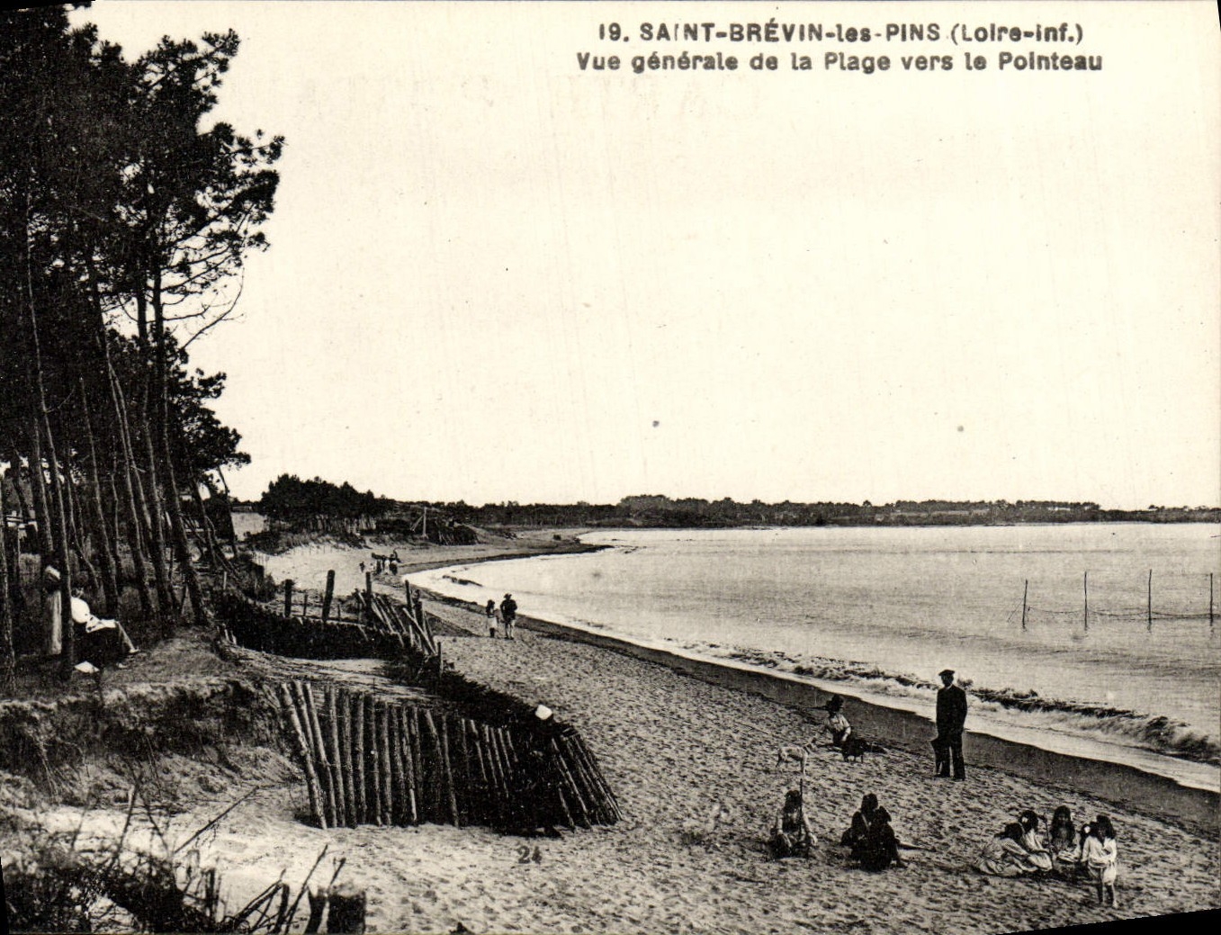 Opinión santa de los pinos de Brevin de la POSTAL de la VENDIMIA de la playa hacia el sacador