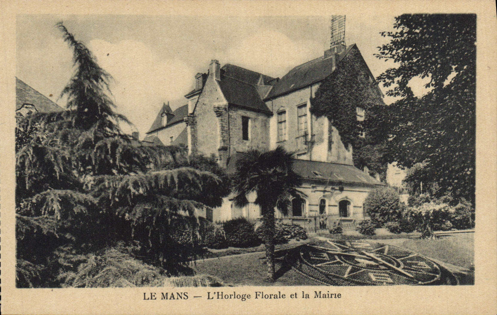 VINTAGE POSTCARD Mans the Floral Clock And the Town hall