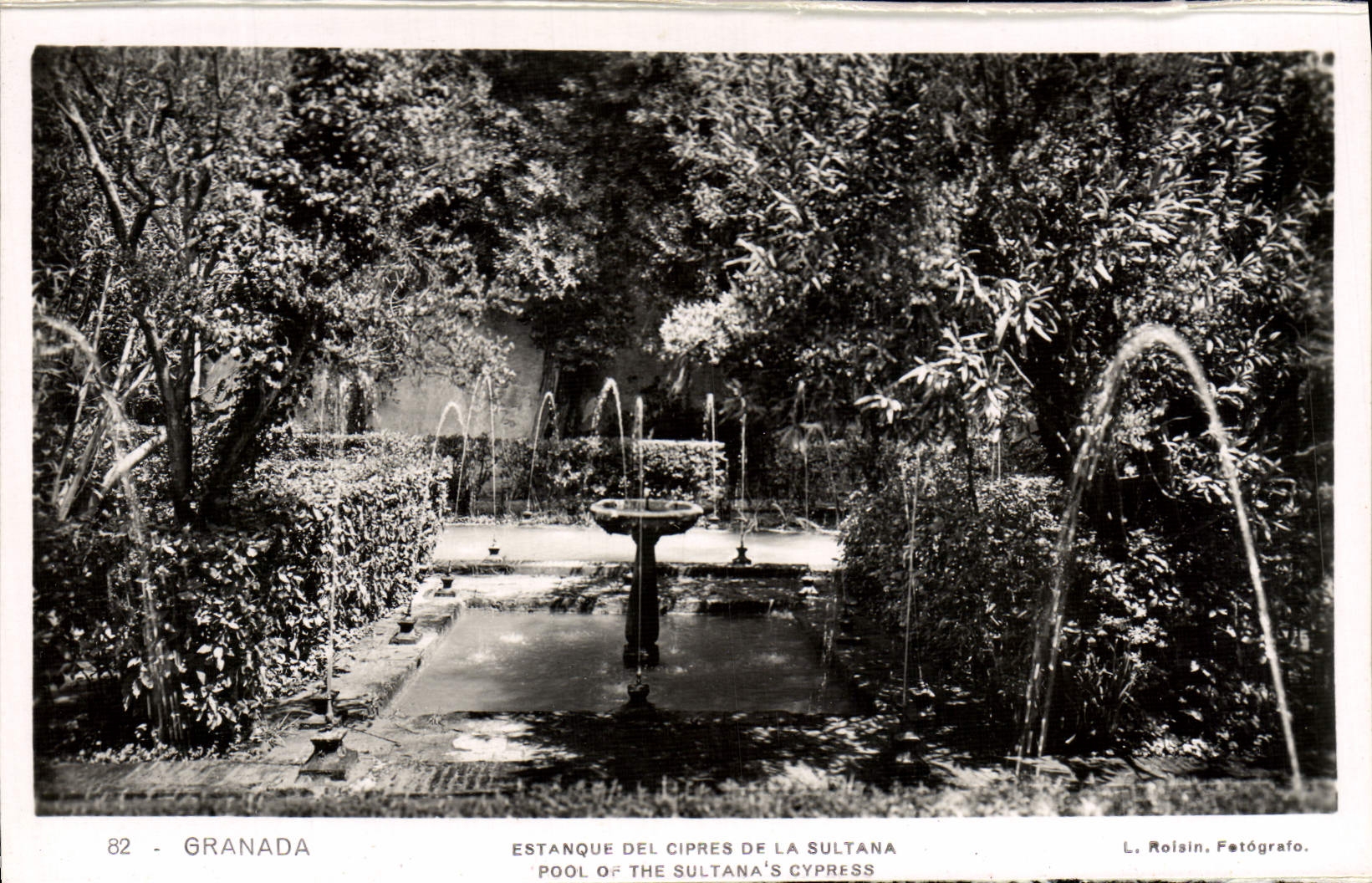 CPA Granada Estanque Del Cipres De La Sultana