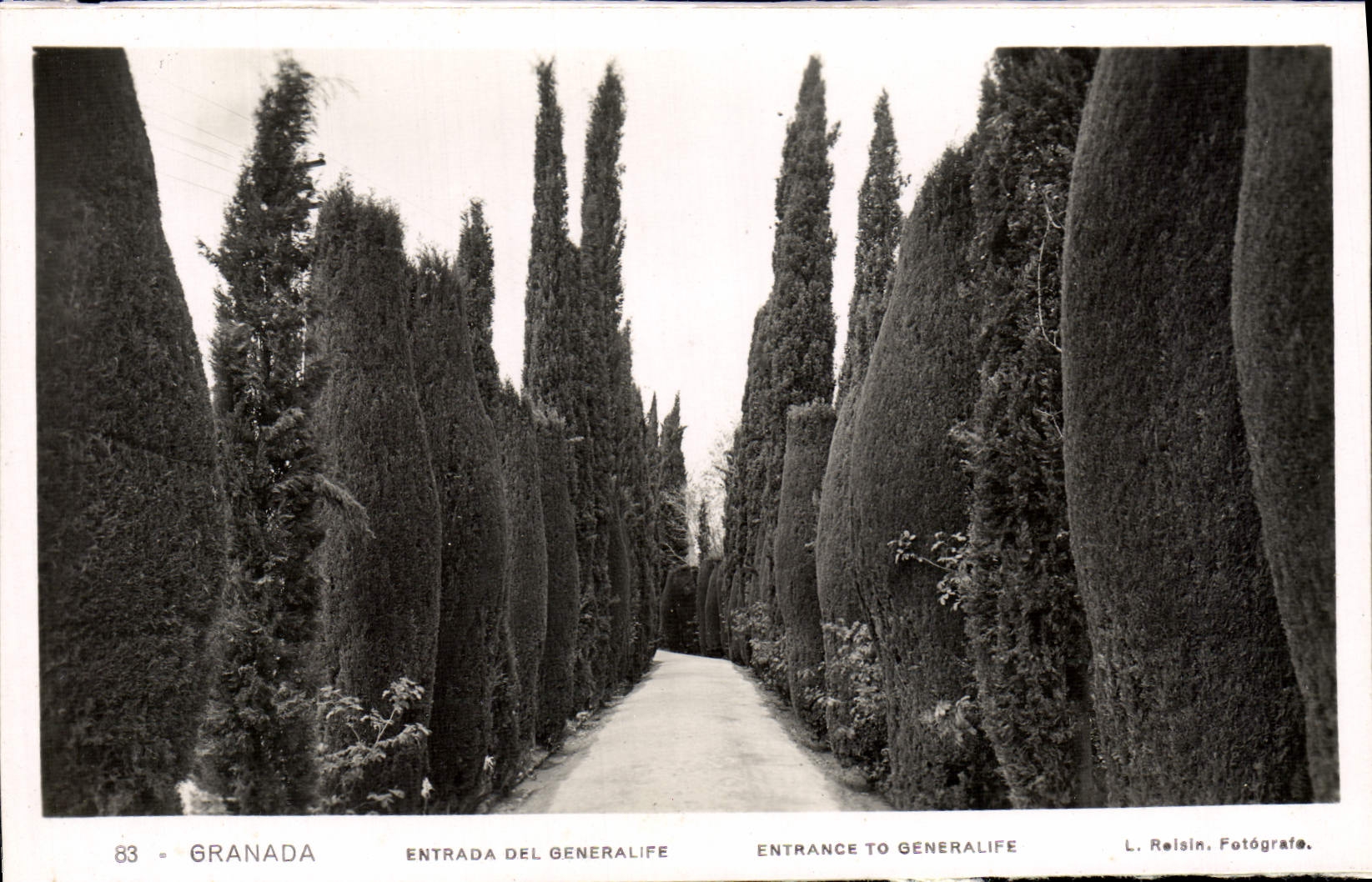 CPA Granada Entrada Del Generalife 