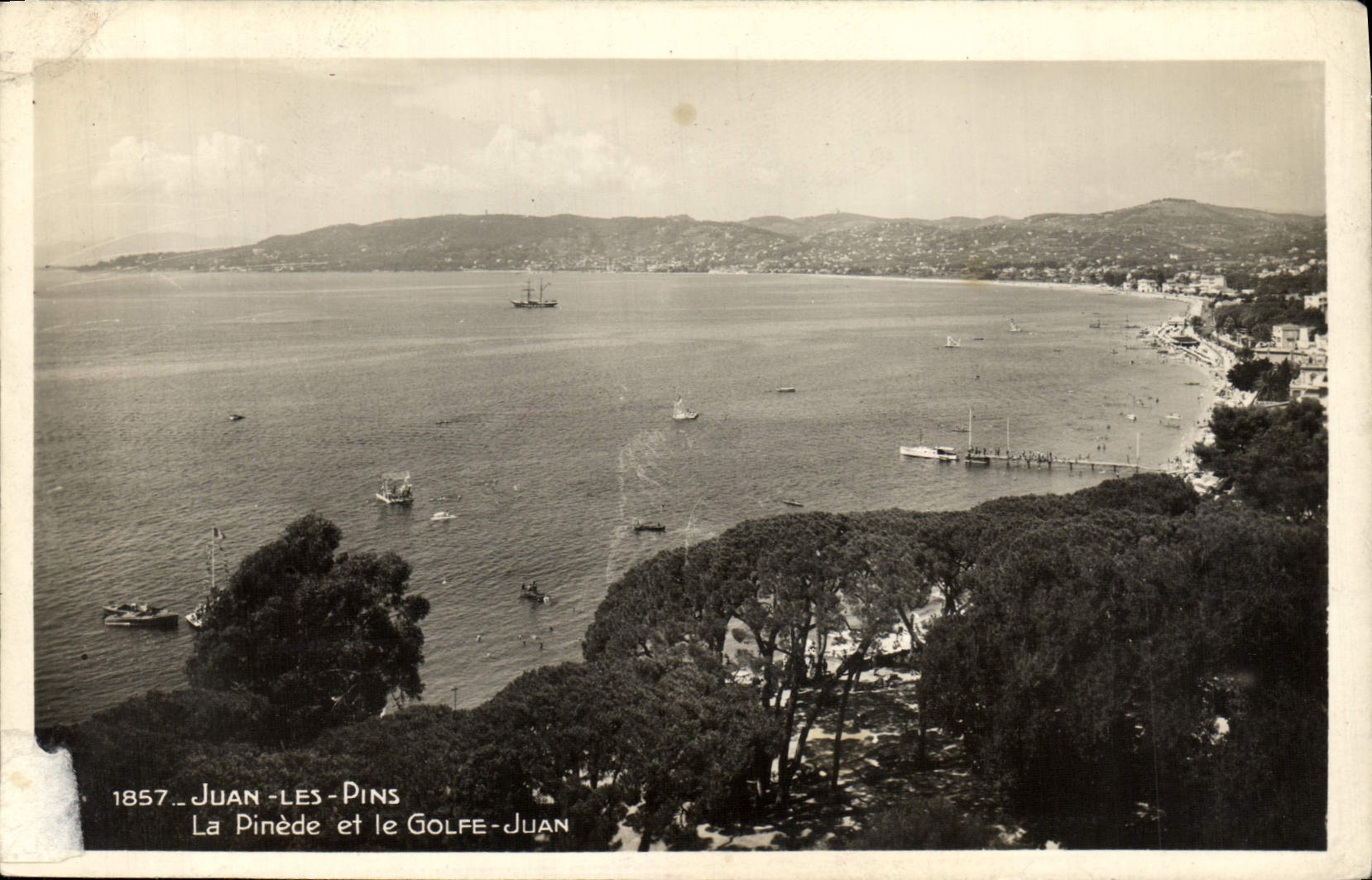 VINTAGE POSTCARD Juan Pines the Pine forest and the Juan Gulf