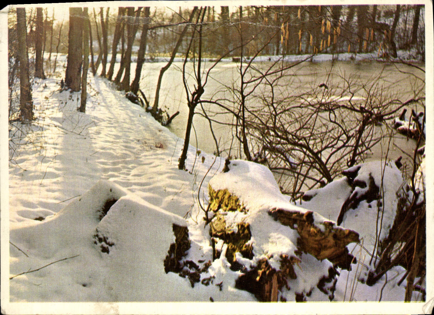 CPM Paysage sous la neige