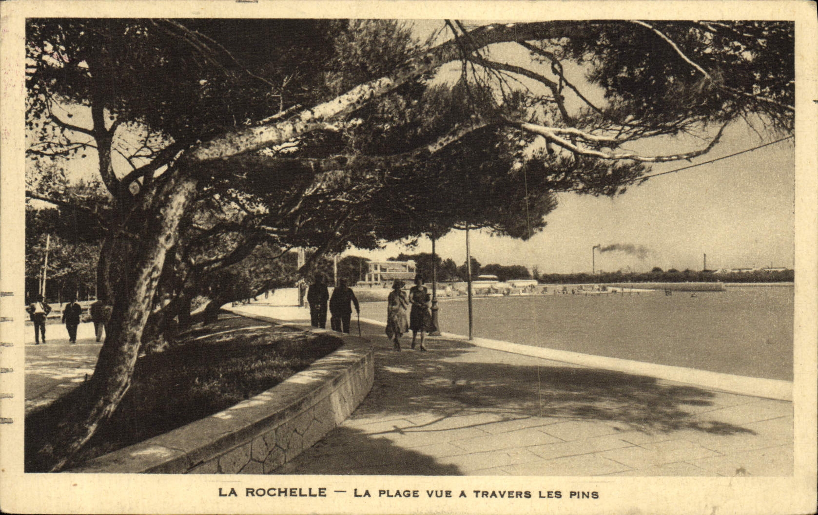 VINTAGE POSTCARD La Rochelle the Beach Seen Through the Pines
