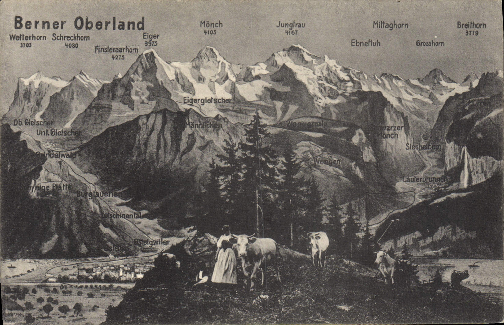 VINTAGE POSTCARD Berner Oberland Woman Cows