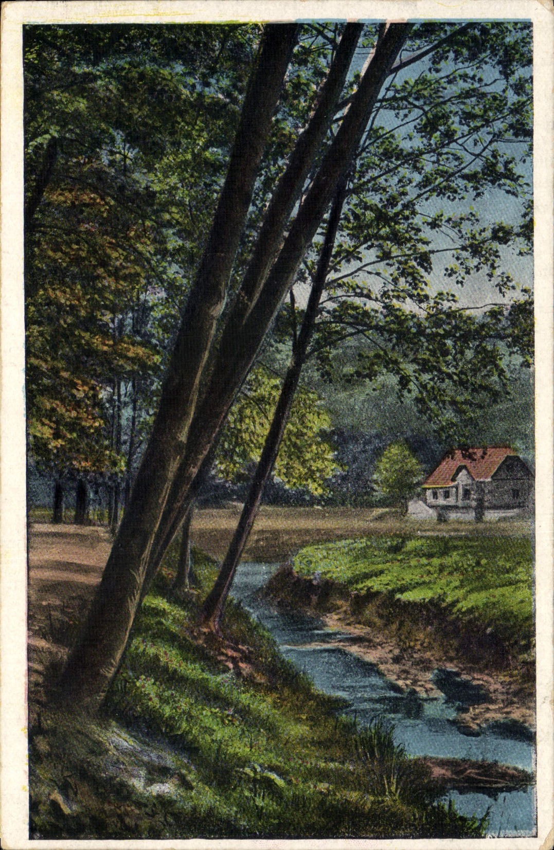 VINTAGE POSTCARD House with the oree of a wood