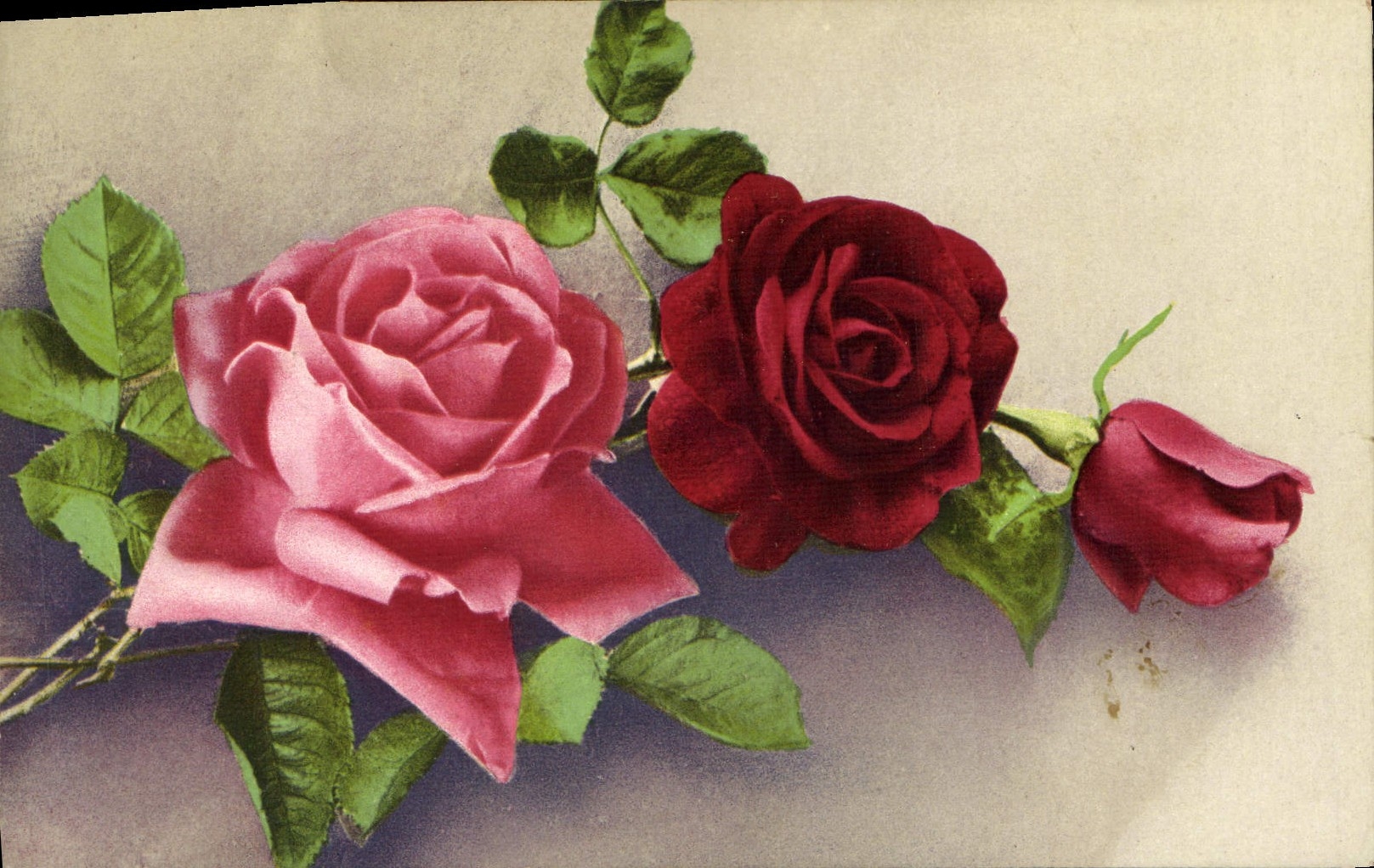 CPA Fantaisie Fleurs