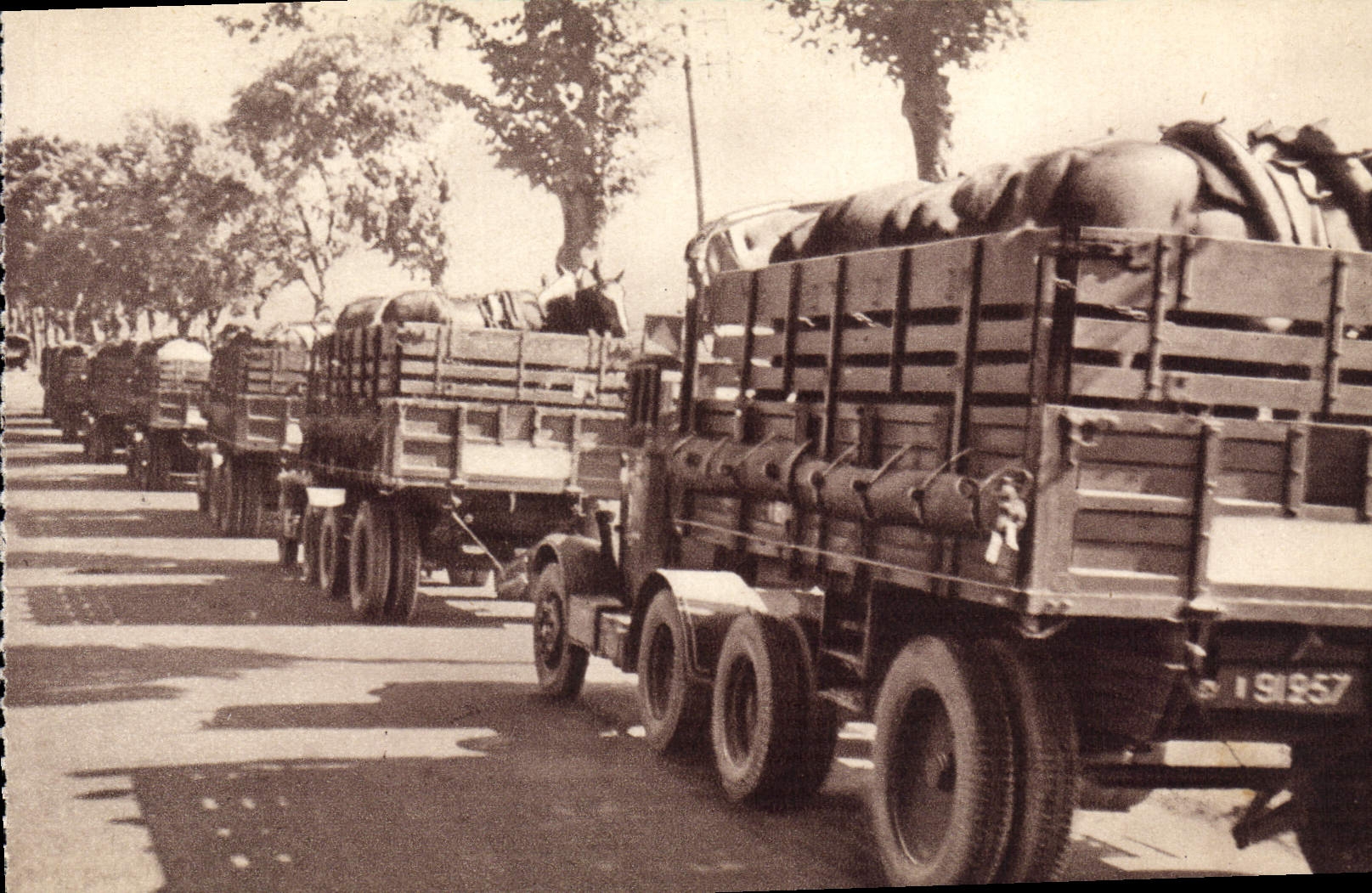 Tren de la POSTAL de la VENDIMIA del transporte militar de los equipos de caballos