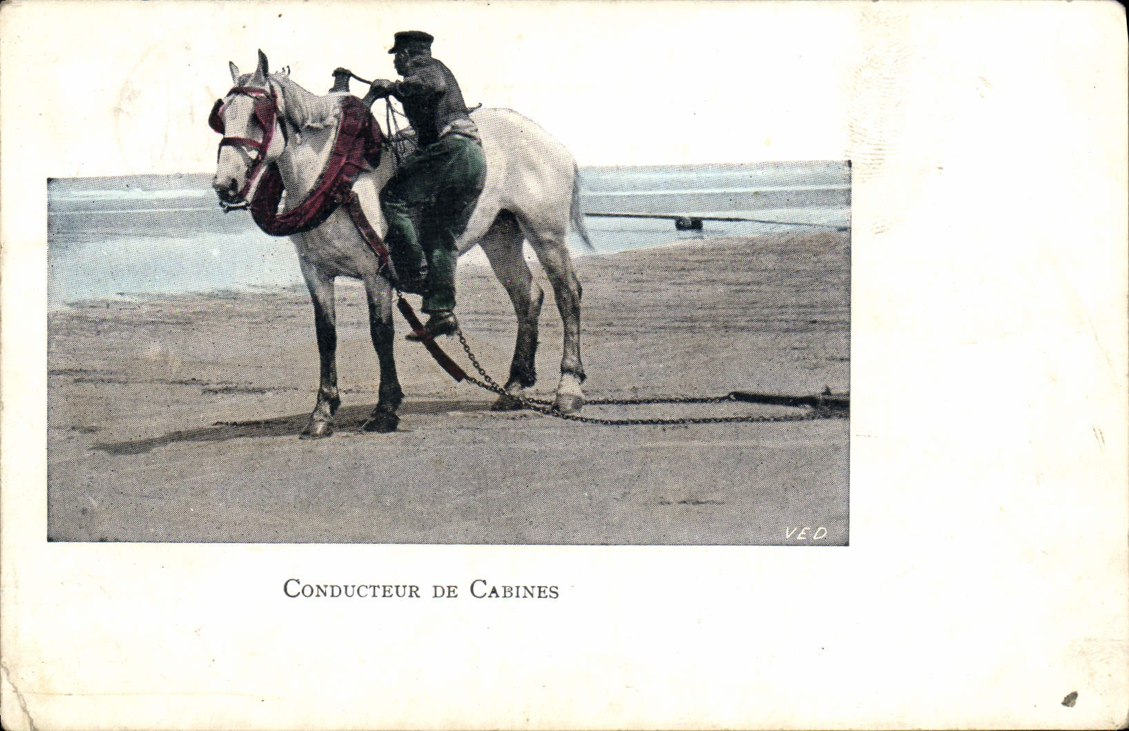 VINTAGE POSTCARD Conducting Of Cabins Horse